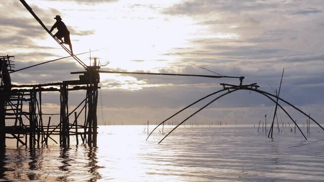Silhouette of a fisherman catching a traditional local fishing trap or 'Yor' in Thale Noi Lake Pak Pra village, Phatthalung, Thailand