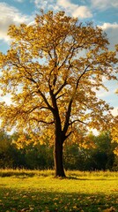 Lively Night City Architecture with Stunning Colors and Vibrant Lights