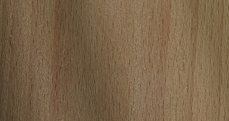 Fototapeta premium Smooth Wooden Surface with Fine Grain Texture