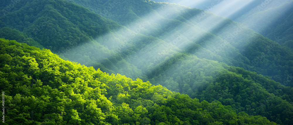 Poster sunlight beams break through dense fog over lush green forested mountains, creating serene and ether