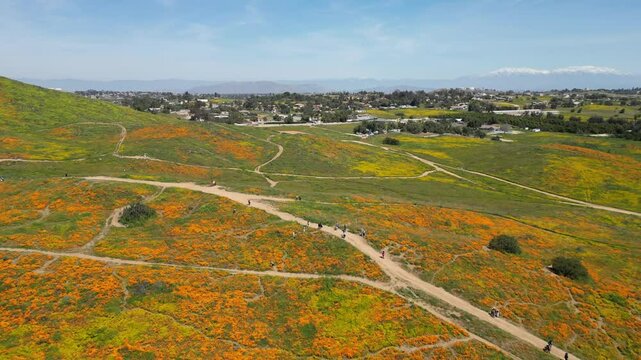 Aerial video over the blooming fields in Perris United States