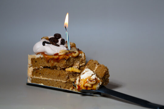 Chocolate cake on a plate contaminated with insects, hazardous food, food with worms, worms on food, disgusting, unhealthy, bad ingredients, junk food, 