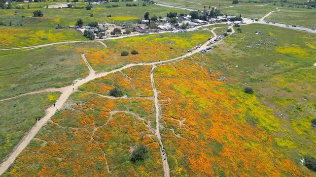 Aerial video over the blooming fields in Perris United States