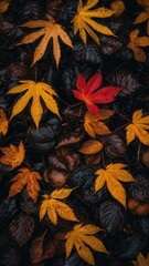 Fototapeta premium autumn, leaf, maple, fall, leaves, nature, tree, vector, pattern, orange, season, illustration, yellow, design, foliage, plant, seamless, texture, color, oak, brown, wallpaper, october, red, decoratio