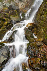 Obraz premium turbulent stream of a rapid waterfall in the mountains