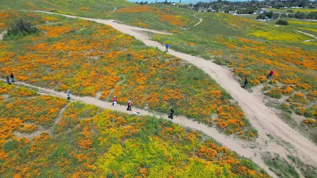 Aerial video over the blooming fields in Perris United States