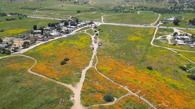 Aerial video over the blooming fields in Perris United States