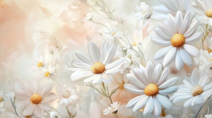 Obraz premium Delicate White Daisies: A Floral Masterpiece