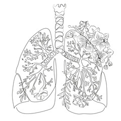 Human lungs contour line art. Medical print. Pulmonologist poster. Lung with flowers vector drawing.