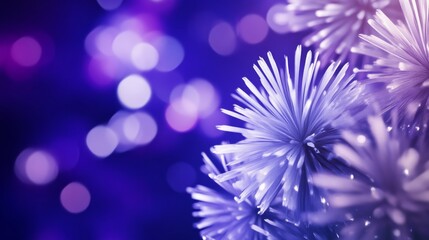 Obraz premium Purple Flower Abstract Close-Up with Blurred Background