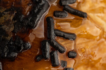 Un croissant fresco y dorado, cubierto con una capa de chocolate, que resalta su textura crujiente...