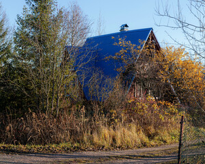 Wooden house along a gravel road in a garden community, surrounded by leafless autumn trees on a...
