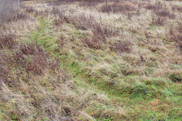 Narrow dirt path winding through a field of yellowed grass in autumn, showing a peaceful rural landscape and seasonal colors.