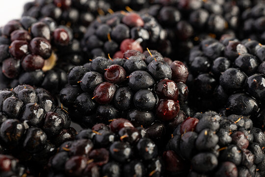 Un primer plano de moras muestra su textura delicada y sus vibrantes tonos p&uacute;rpura. La imagen captura la frescura y jugosidad de esta deliciosa fruta en su m&aacute;xima expresi&oacute;n.