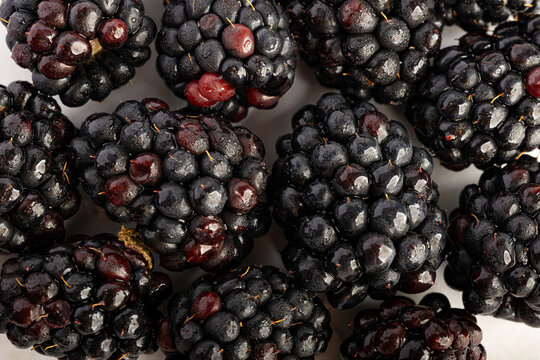Un primer plano de moras muestra su textura delicada y sus vibrantes tonos p&uacute;rpura. La imagen captura la frescura y jugosidad de esta deliciosa fruta en su m&aacute;xima expresi&oacute;n.