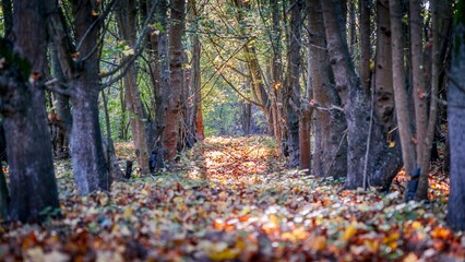 &Eacute;tangs de Cergy, France