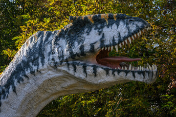 Detail of a plastic carnivorous dinosaur head.
