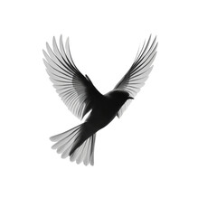 Obraz premium Dynamic Silhouette of a Bird in Flight