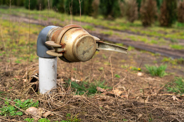 Water Pipe in a Field