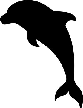 Dolpin Silhouette
