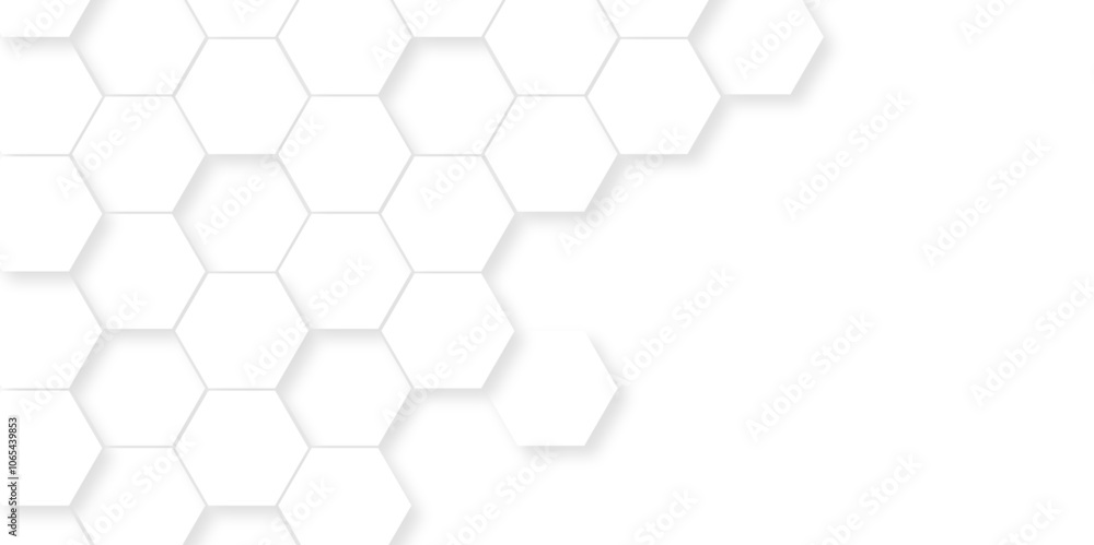 Wall mural abstract pattern with hexagonal white and gray technology line paper background. hexagonal 3d vector