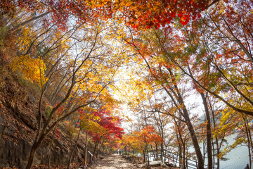 Autumn scenery of Ipgok Park in Haman-gun, Gyeongsangnam-do, Korea, which is colored with beautiful autumn leaves