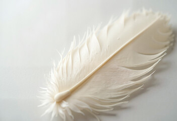Obraz premium Close-up of a pristine white feather on a soft, neutral background highlighting delicate details