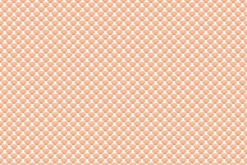 seamless pattern with scallop, orange background,  seamless pattern with shell, orange background with seashell, shell, seashell, scallop, oyster, shellfish, animal, sea, summer, holiday, beach, happy