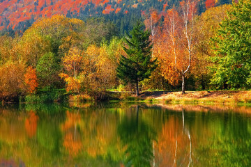 Landscape of аutumn foliage and fog lake in morning