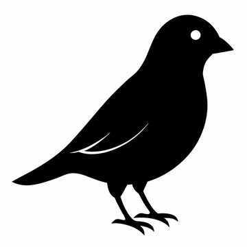 recommend clip art: Vector finch silhouette black illustration on a white background