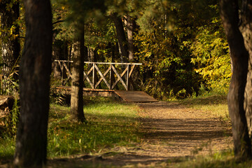 A beautiful autumn scenery with trees and a little bridge in the forest in Latvia. Seasonal scenery of Northern Europe.
