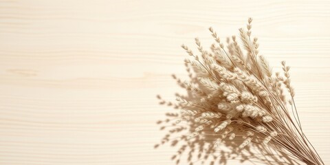 Fototapeta premium Delicate dried grass stalks with a soft, natural light casting long shadows on a light wooden surface.