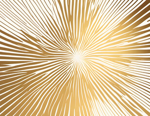 Fototapeta premium Abstract gold radial lines pattern background.