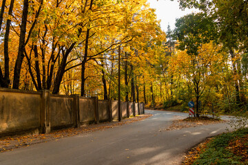 A beautiful autumn landscape of street in the Riga, Latvia. Seasonal scenery of Northern Europe.