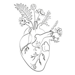 Flower heart line contour drawing on a white background. Anatomical decorative print. Medical minimalist art.