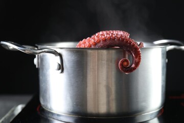 Fresh octopus boiling in pan on stove, closeup © New Africa