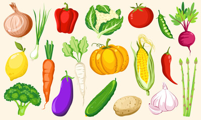 Illustration of fresh vegetables, Collection of colorful hand drawn fresh delicious vegetables, hand-drawn vector differences vegetables.