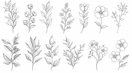 Set of 12 hand-drawn floral elements in black and white.