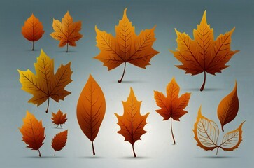 Obraz premium autumn leaves collection