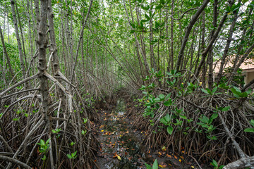 Many fishing boats on the seashore