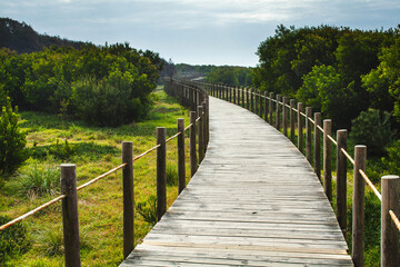 a wooden boardwalk winding its way through a lush coastal landscape
