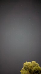 photos of the beach of the city of Fiumicino in Italy