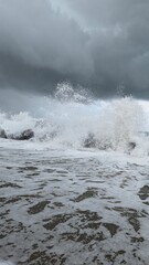 photos of the beach of the city of Fiumicino in Italy