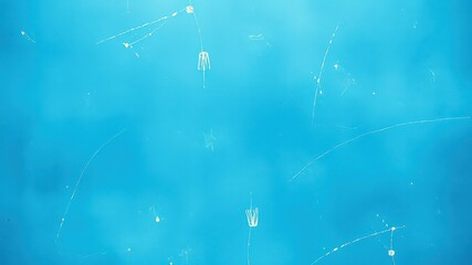 Fototapeta premium A Blue Surface with White Scratches and Stains