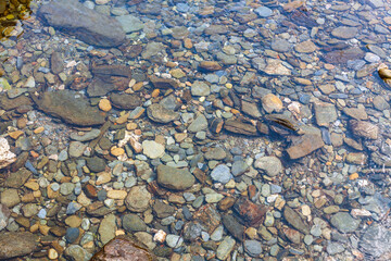 A close-up view of colorful, smooth river stones visible through clear, shallow water, highlighting...