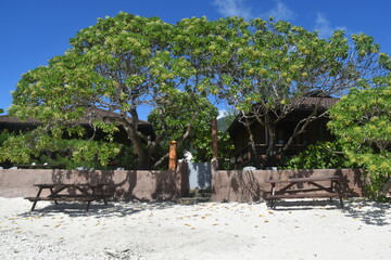 The stunning beaches and green lush landscapes on Moorea Island in French Polynesia, South Pacific 