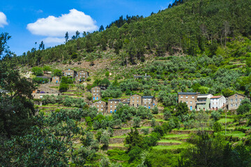 hillside village with a series of charming, rustic stone houses nestled among olive trees and lush greenery