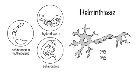Helminthiasis. Nervous system