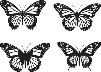 Obraz premium Set of Butterfly Silhouette graphic vector