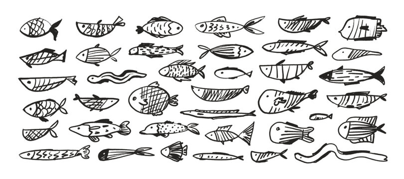 Various crayon drawn cute fish with decorative patterns. Hand drawn vector marine creatures. Doodle collection of kids&rsquo; fish icons, featuring salmon, tuna, eel, and other simple sea elements.